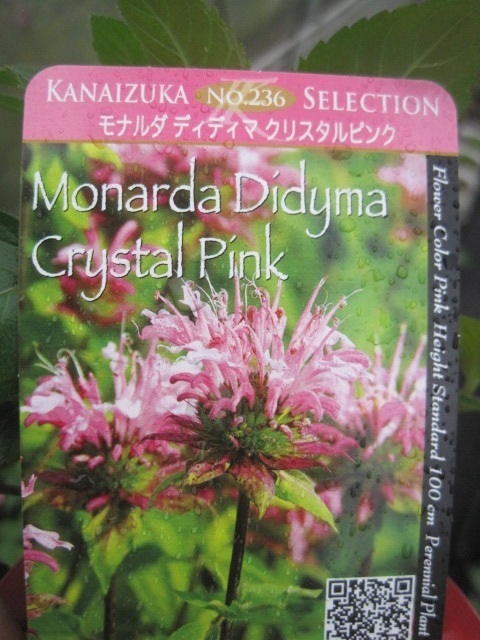 モナルダの値段と価格推移は 41件の売買情報を集計したモナルダの価格や価値の推移データを公開