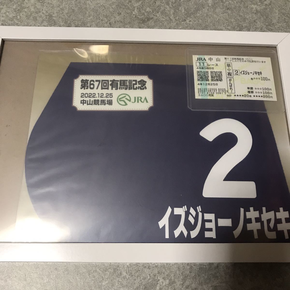第67回 有馬記念 ミニゼッケン イズジョーノキセキ 額縁 応援馬券 