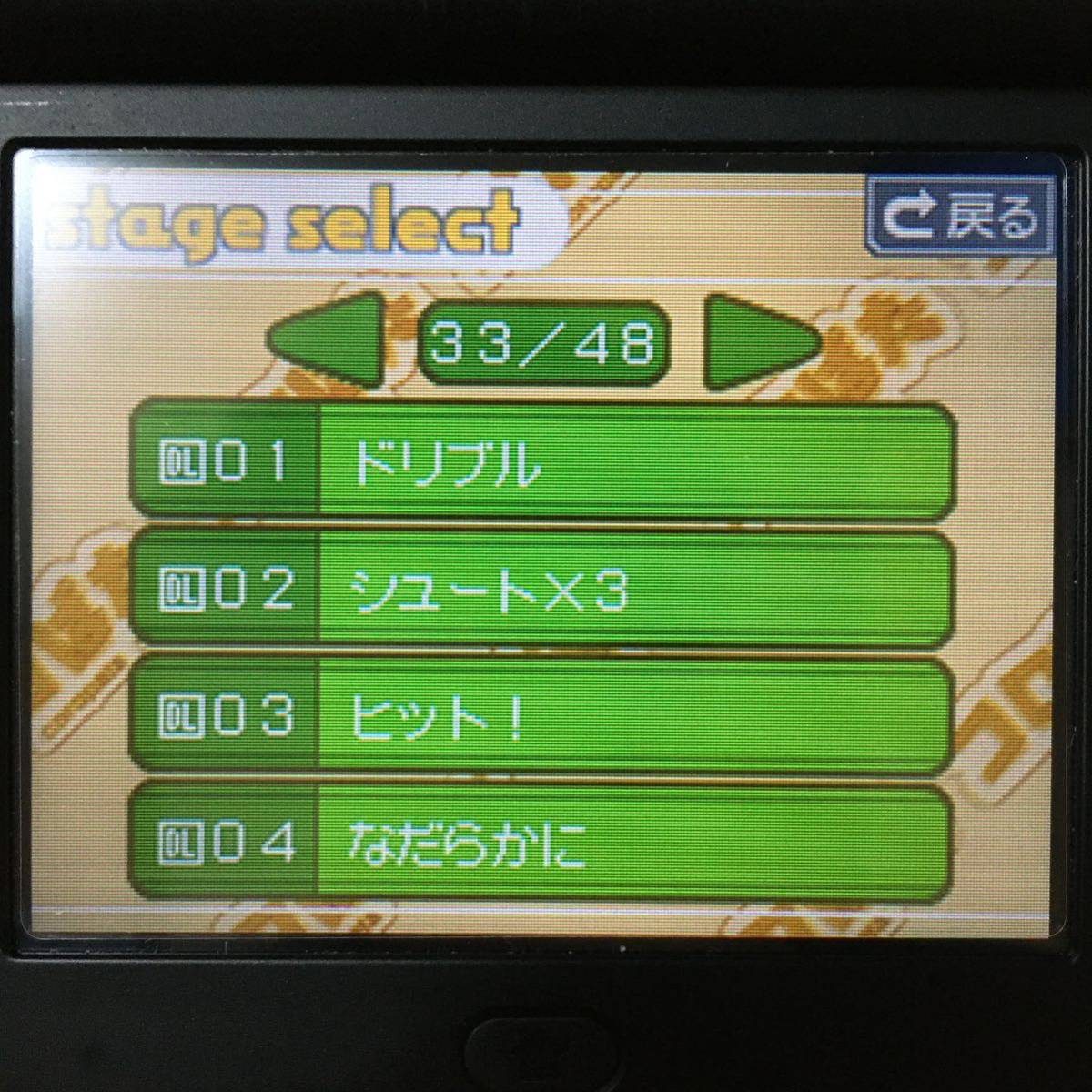 完美品・全DLステージ入り】Nintendo DS ニンテンドーDS プレミア 