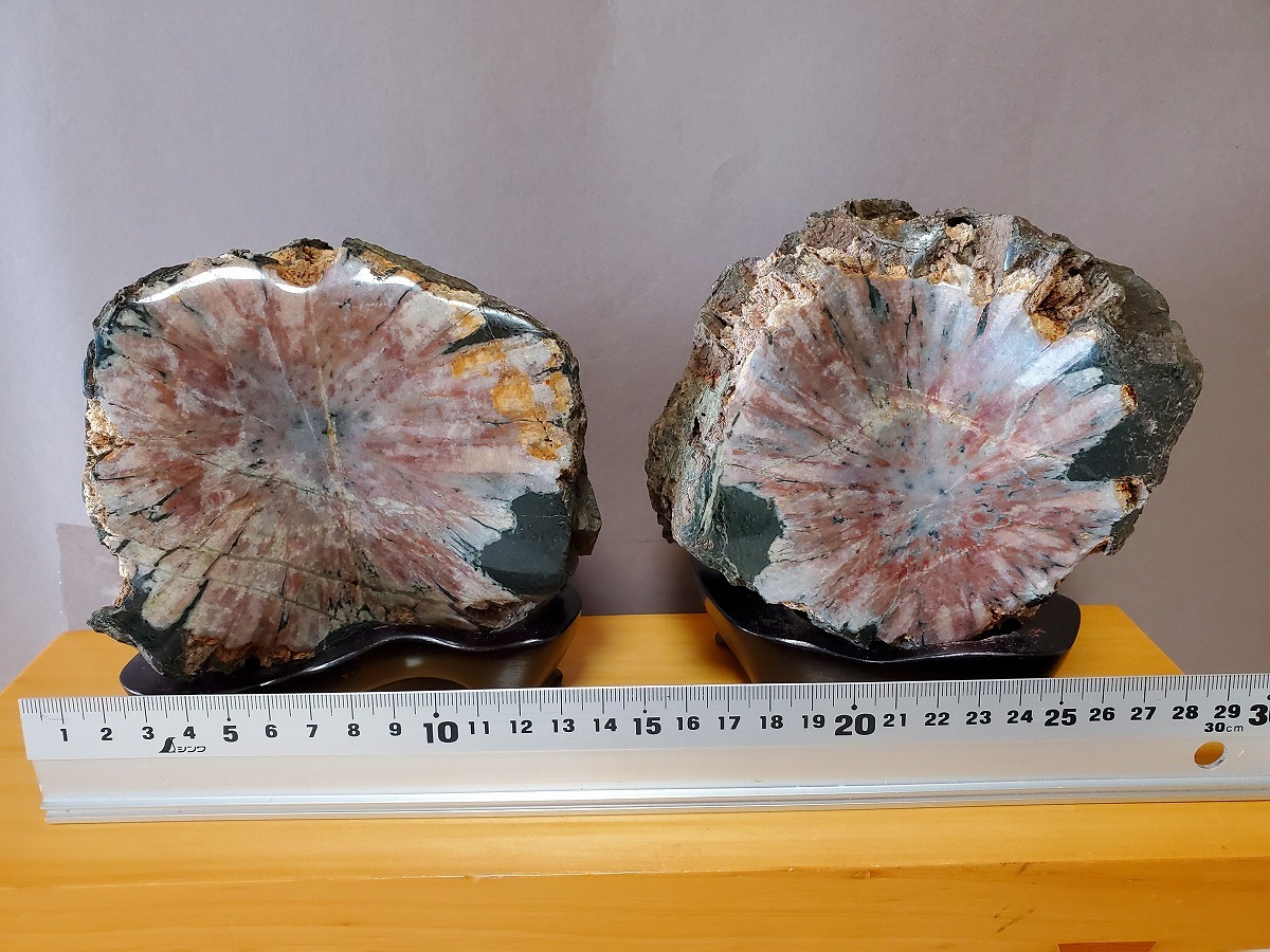 限定セール，品質保証 岐阜県 根尾白木山産 菊花石 ピンク大花1輪x2個 玉石 天然石 2825グラム 観賞石 根尾川銘石 水石 盆石(原石)｜売買されたオークション情報、yahooの商品情報をアーカイブ公開 - オークファン 原石