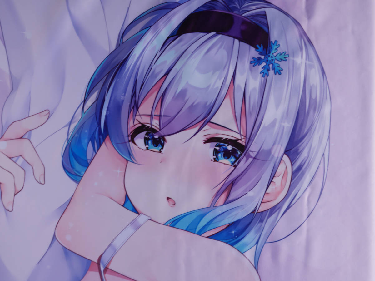 抱き枕 | ktwshop.ge