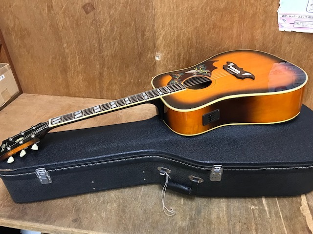 Orville by Gibson DOVE W/PU オービル BY ギブソン(ギブソン)｜売買