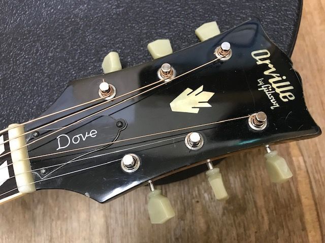 Orville by Gibson DOVE W/PU オービル BY ギブソン(ギブソン)｜売買