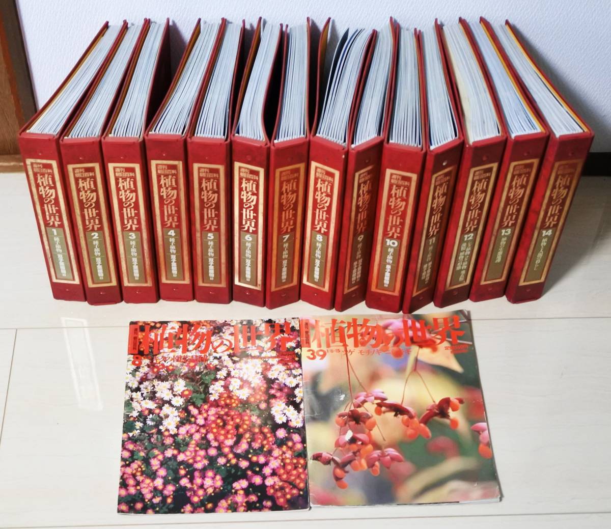 2026年最新Yahoo!オークション -朝日百科 植物の世界の中古品