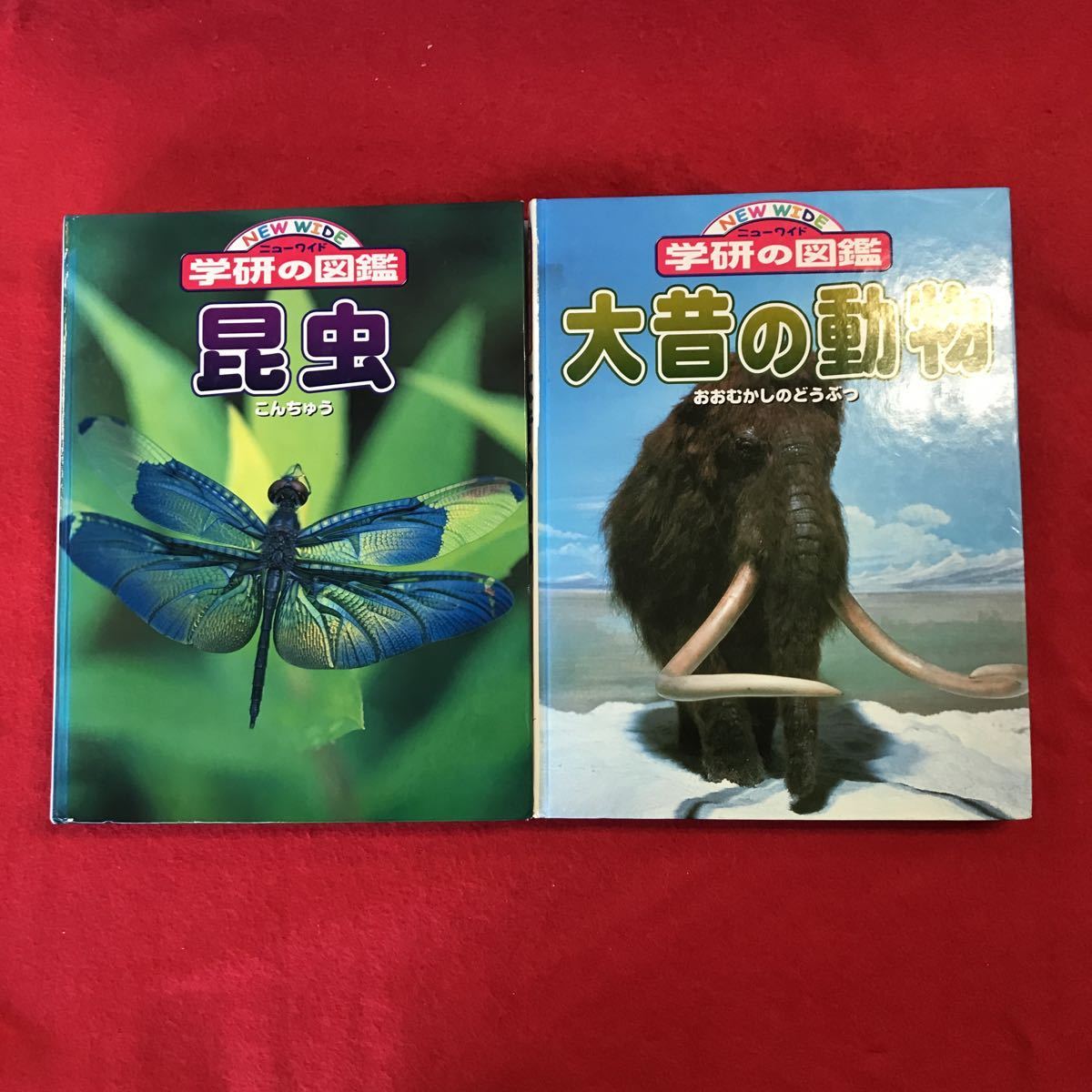 まとめ 奥 棚※8 学研の図鑑 5冊セット (ニューワイド版2冊＋旧版3冊 