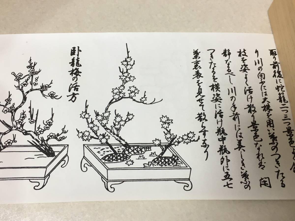 220 華道 生花 御室流 巻物 4巻 伝書 春秋の巻/仁和融光之巻/風雅三大 