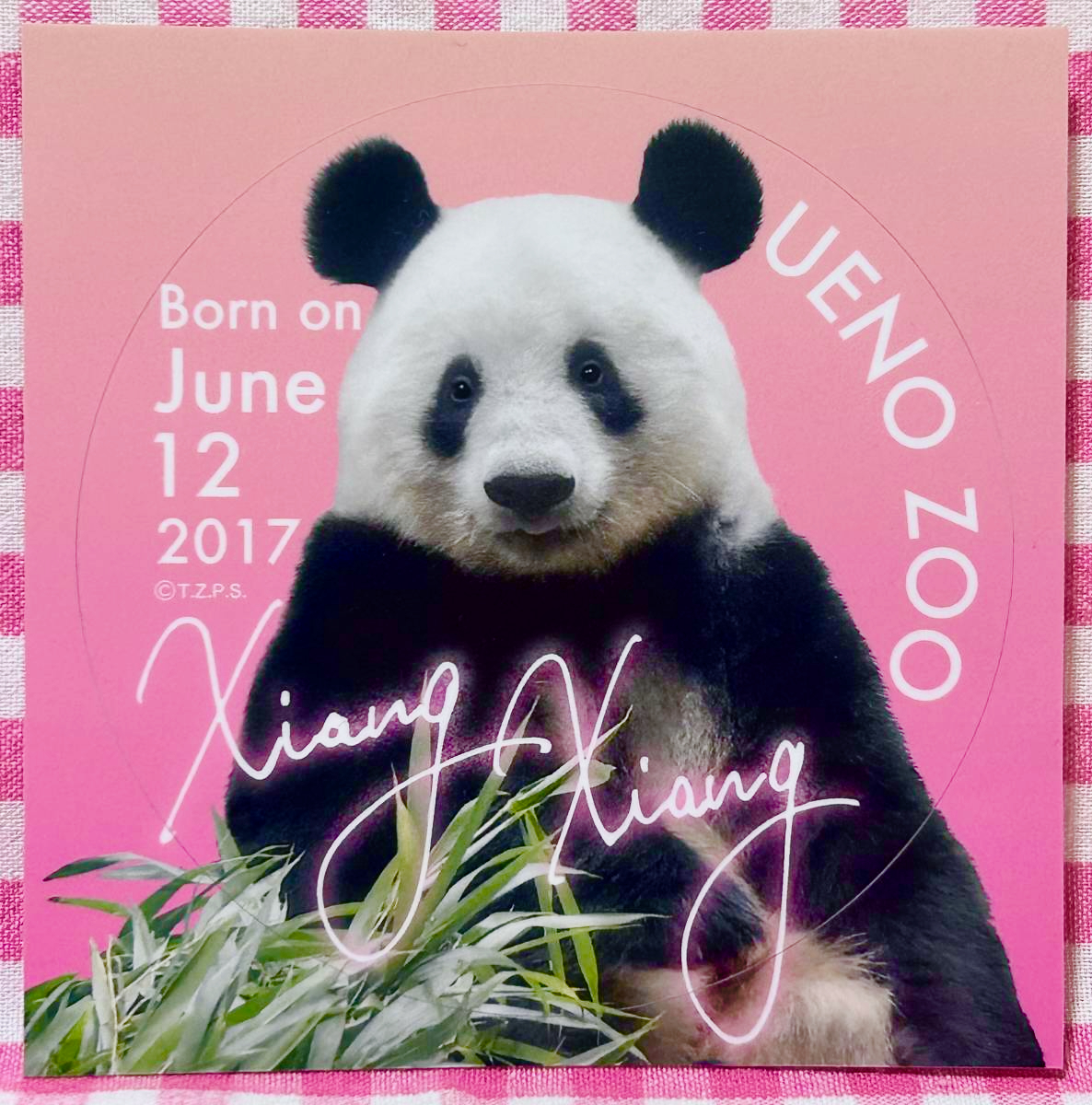 上野動物園 パンダ シャオシャオ レイレイ ステッカー 5枚セット