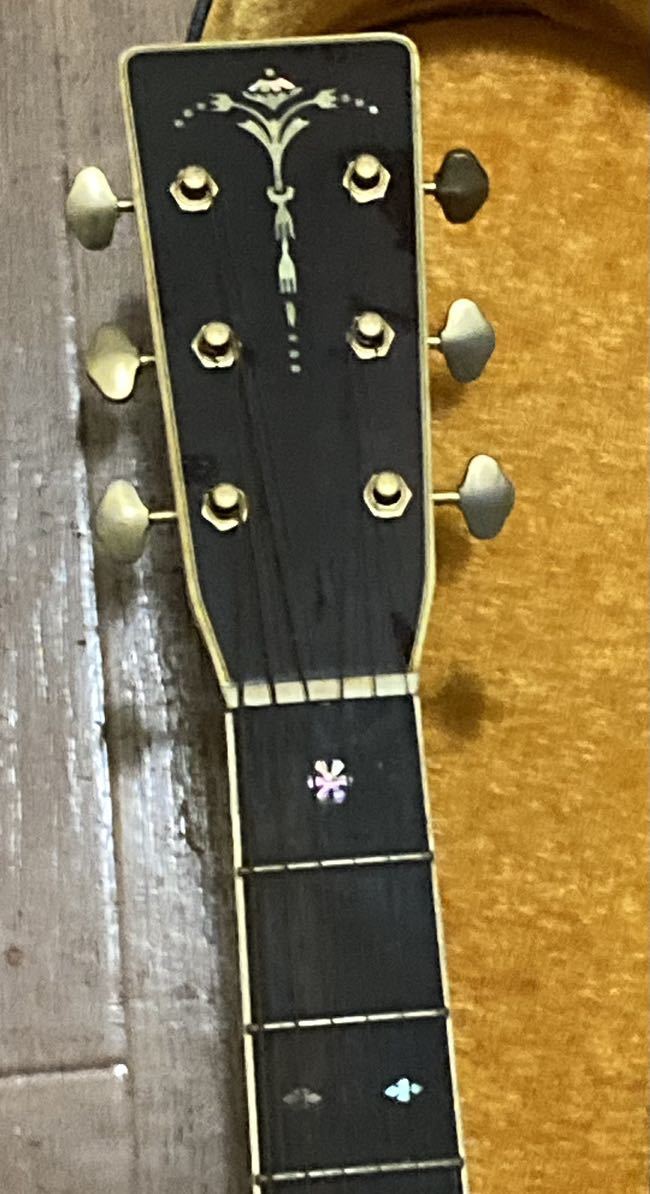 Tokai TCM-80V Cat