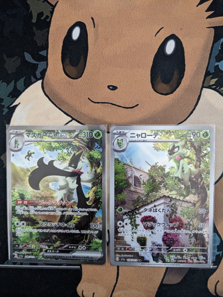 ポケモンカード 旧裏 旧裏面 ニョロゾ ニョロモ psa9 旧裏 マークなし