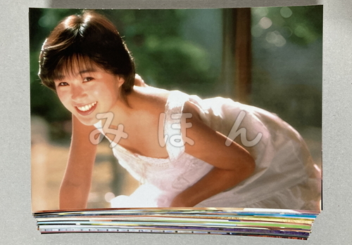 酒井法子 昭和アイドル L判 写真 50枚セットの入札履歴 - 入札者の順位