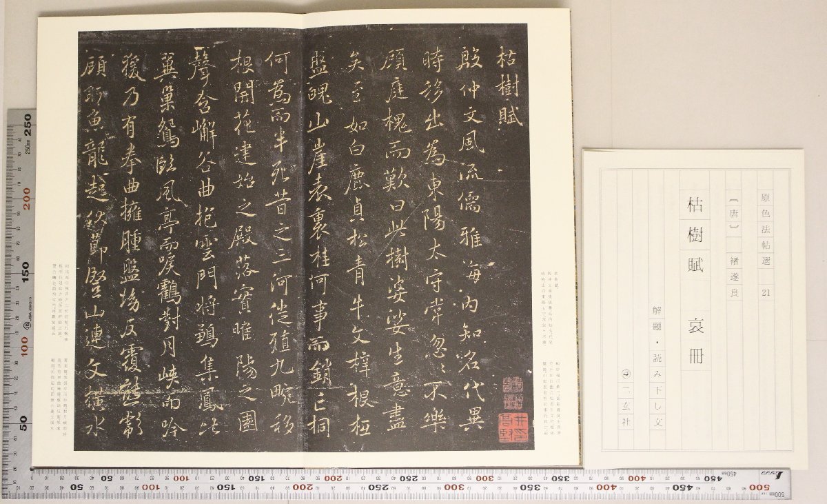 枯樹賦 知乎 枯树赋・哀册- 二玄社原色法帖选21 原色
