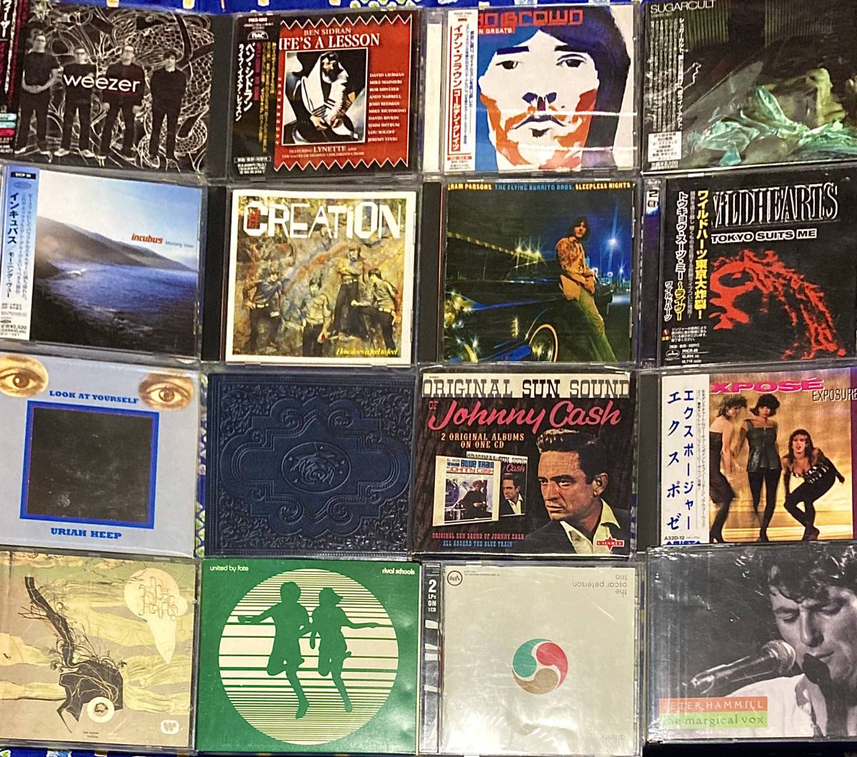 洋盤　60枚セット