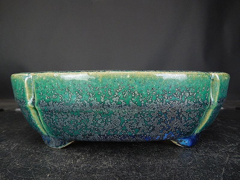 Yahoo!オークション -「盆栽鉢 鴻陽」(盆栽) の落札相場・落札価格