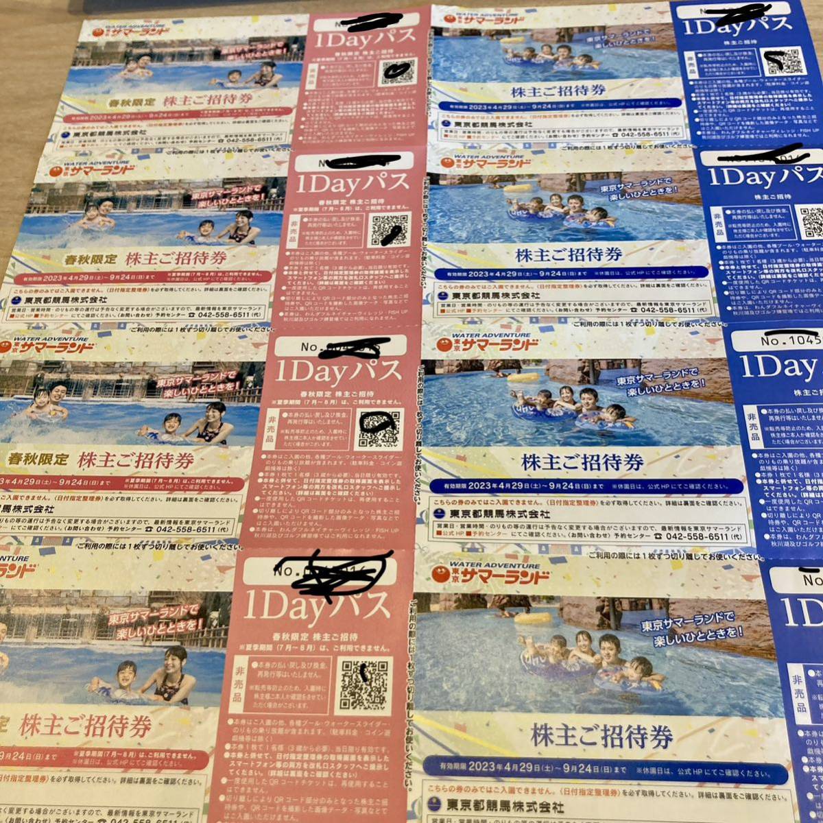 【送料無料】東京都競馬 株主優待券 東京サマーランド 1dayパス4枚＋春秋限定 1dayパス4枚　