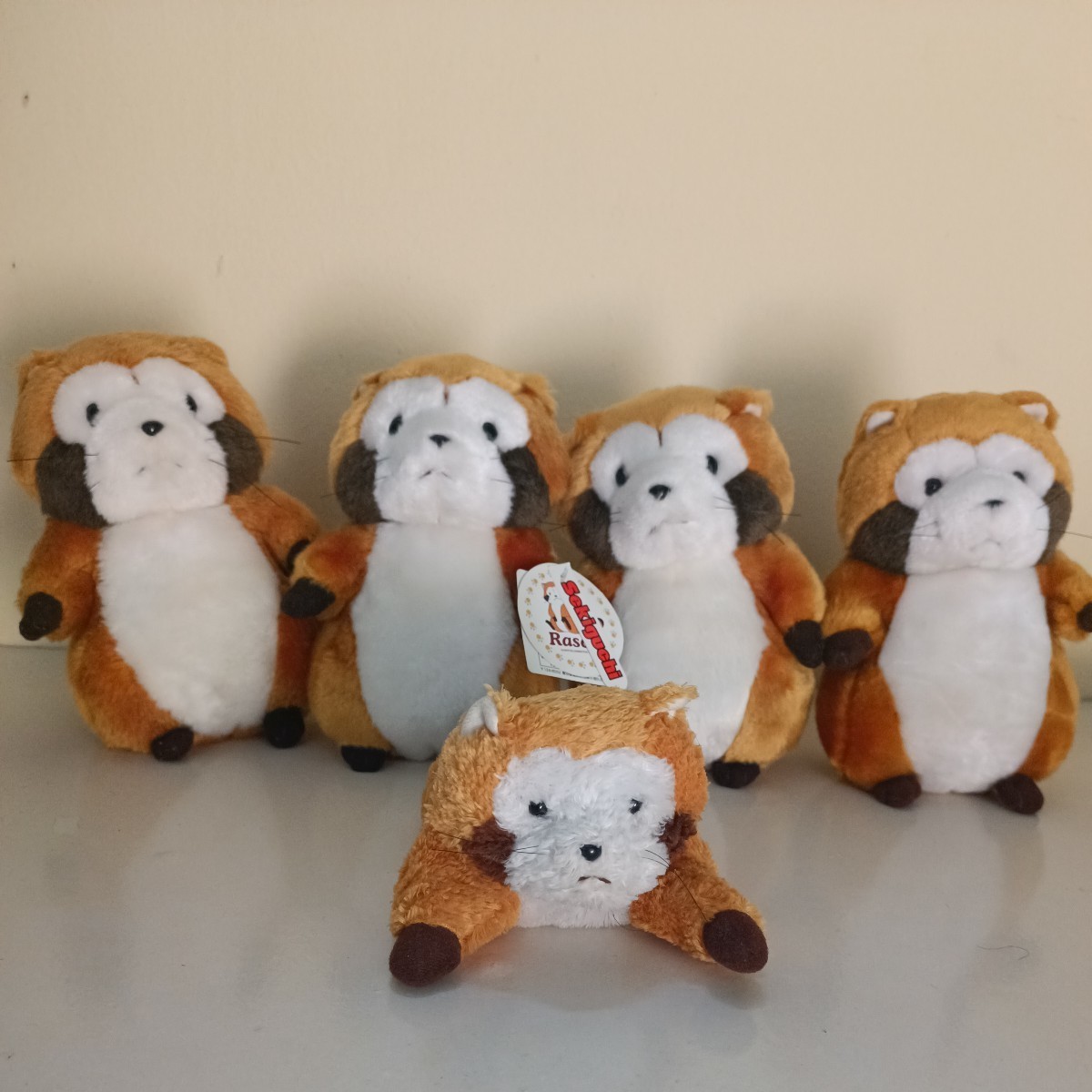 セキグチ ぬいぐるみ あらいぐまラスカル 5点セット 廃盤 sekiguchi