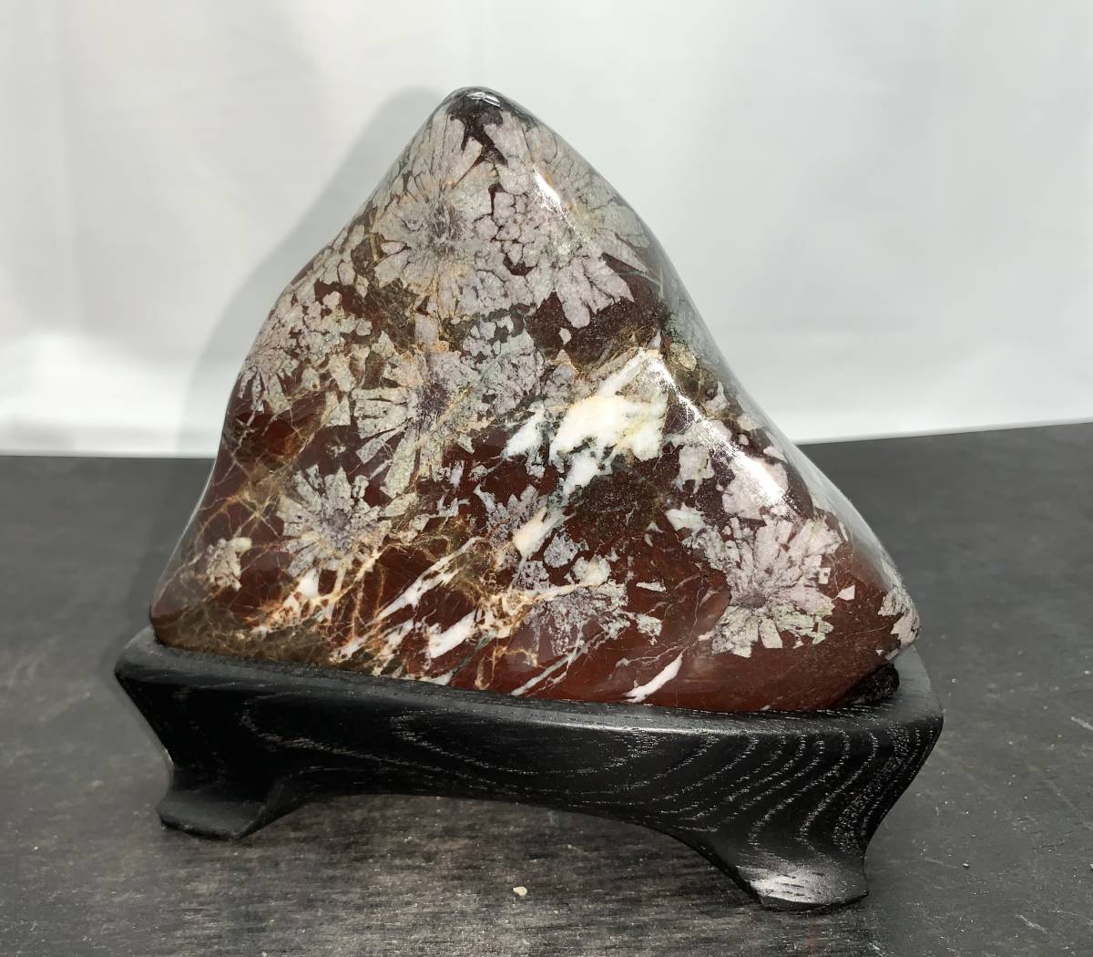 岐阜県を代表する銘石 天然菊花石・台座付き｜幅19cm×