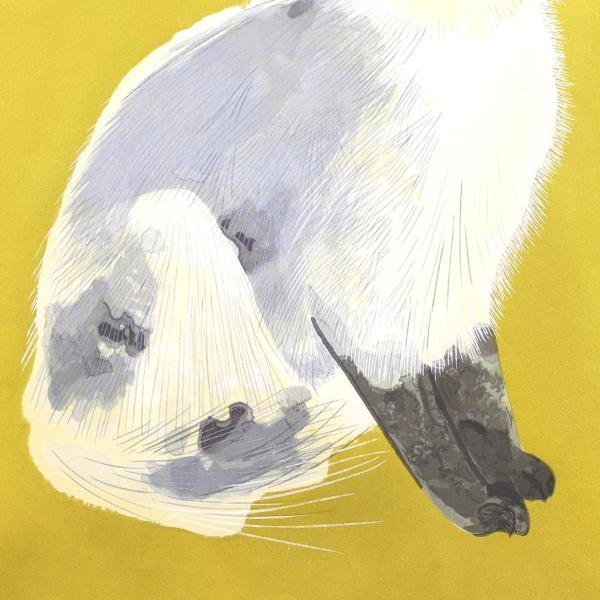 絵画　奥村土牛「シルバータビー」 猫　版画　美品 Togyū Okumura 猫 - Okumura 奥村土牛 シルバータビー 版画 Yahoo!オークション Togy
