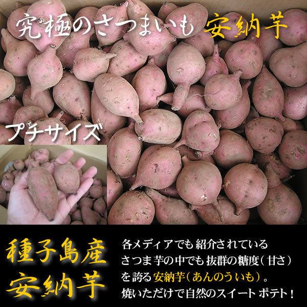 ワケアリ 種子島産安納芋3Sプチサイズ5キロ 農薬不使用 無化学肥料