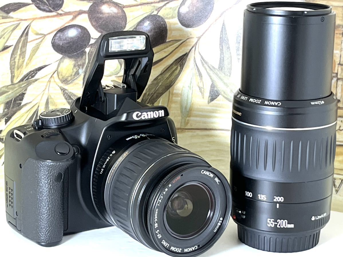 ショット数: 87855回 CANON EOS 5D Mark II #1502 | ヤマダウェブコム