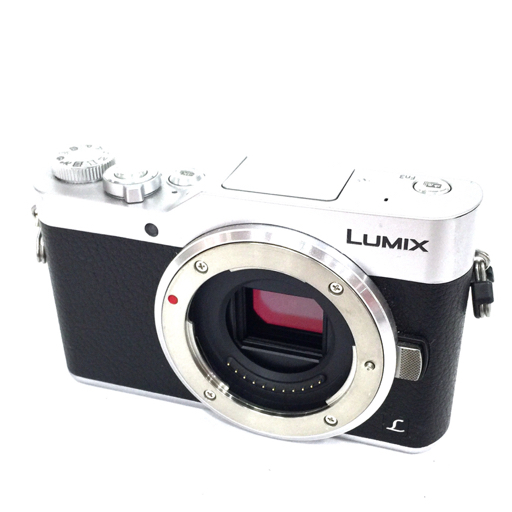 1円 Panasonic DC-GF9 ミラーレス一眼カメラ ボディ 動作確認済 付属品あり