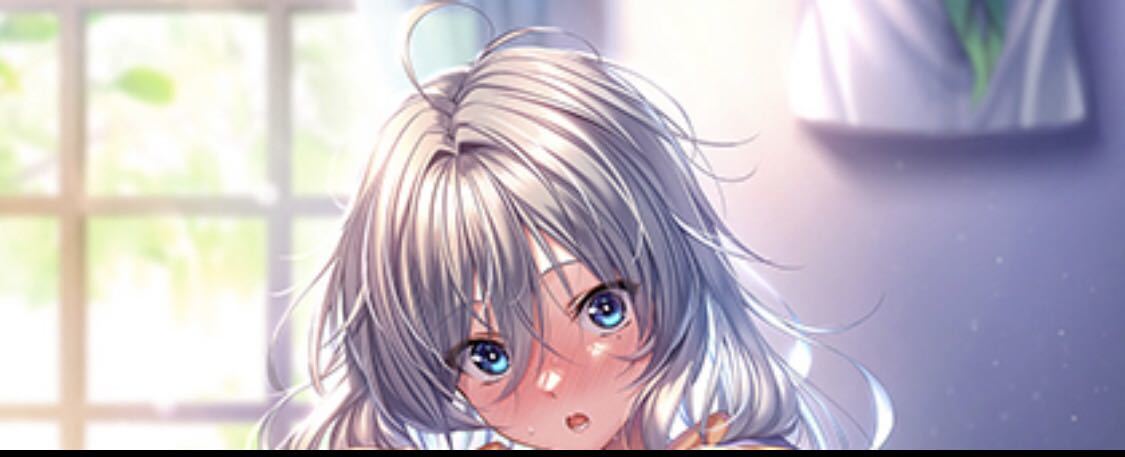 アマカノ2 + ソフマップ 特典 描き下ろしB2Wスエードタペストリー 
