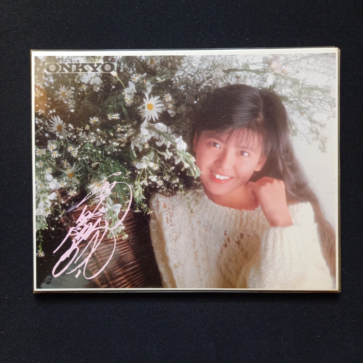 南野陽子 ONKYO Radian ノベルティグッズ 非売品 (南野陽子)｜売買され