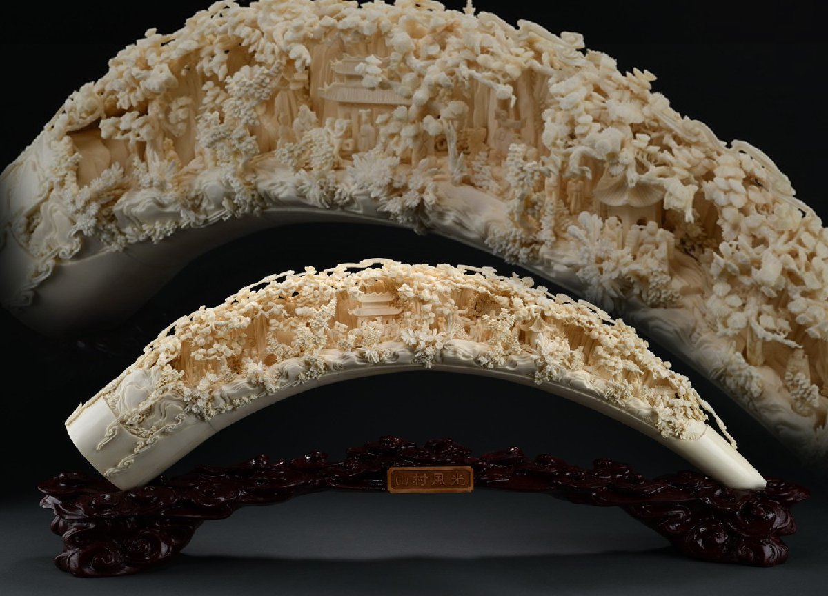 ☆寒椿☆貴重！古寺旧蔵 巨大伽羅 全長約82cm 重量約570g (検)沈香