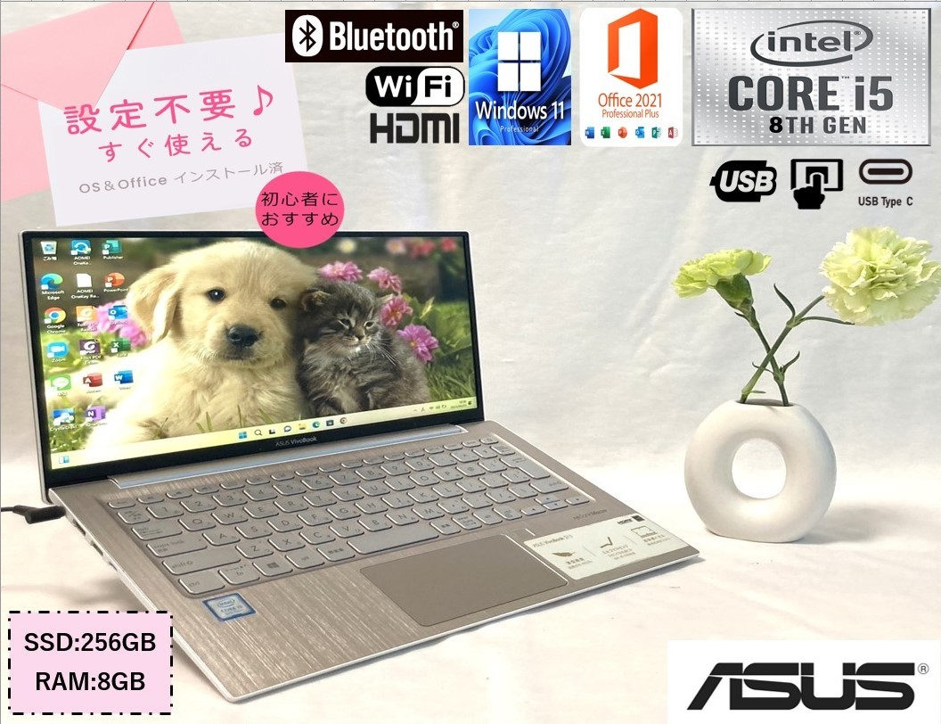 ソニー・ディクソン 2021 iPad mini Pro ダミー