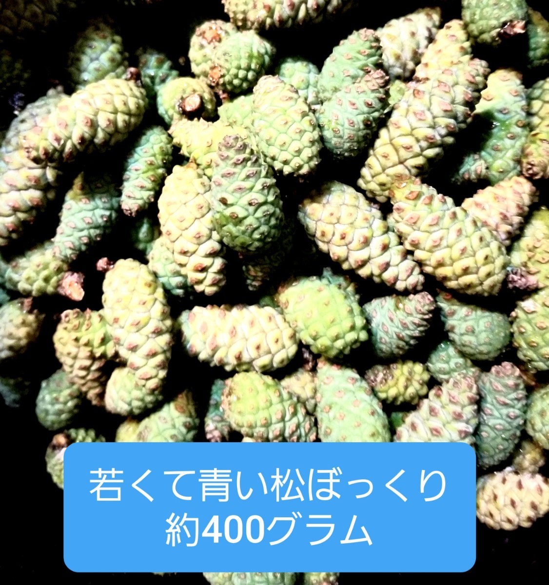 青い松ぼっくり 青ぼっくり 400グラム 滋賀県産 無農薬(野菜)｜売買