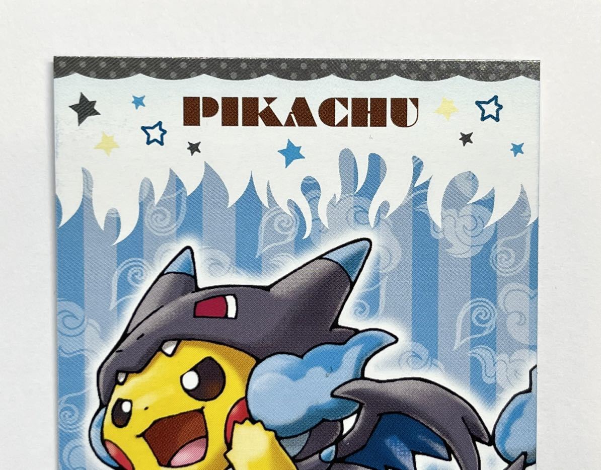 強カワピカチュウ メガキャンペーン 第2弾メガリザードンXポンチョ