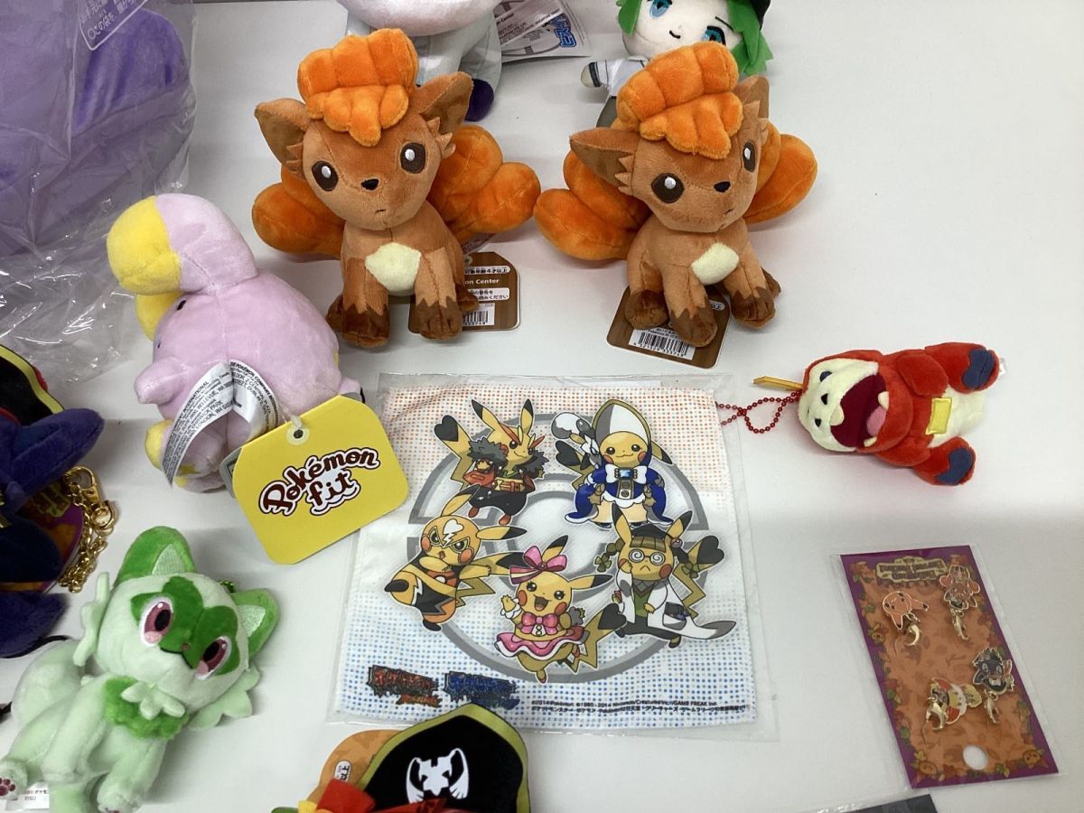 同梱不可/現状】 ポケモンセンター限定 グッズ まとめ売り ヌメラ 