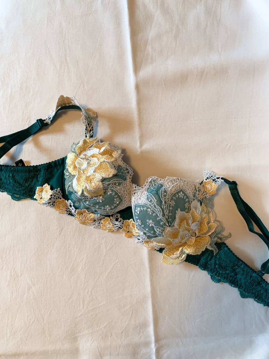 サルート 68g 店舗限定 夕陽の余韻 D65 プレステージ ワコール(65以下  