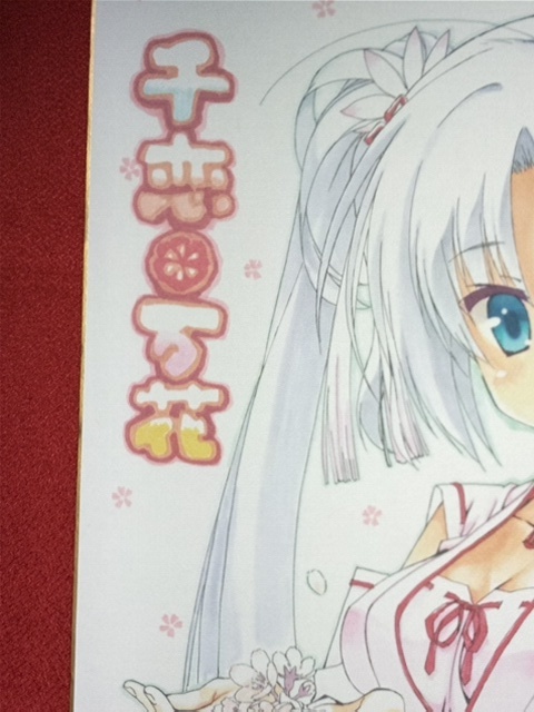 色紙]千恋＊万花：朝武 芳乃／こぶいち：サイン入り・複製(印刷物