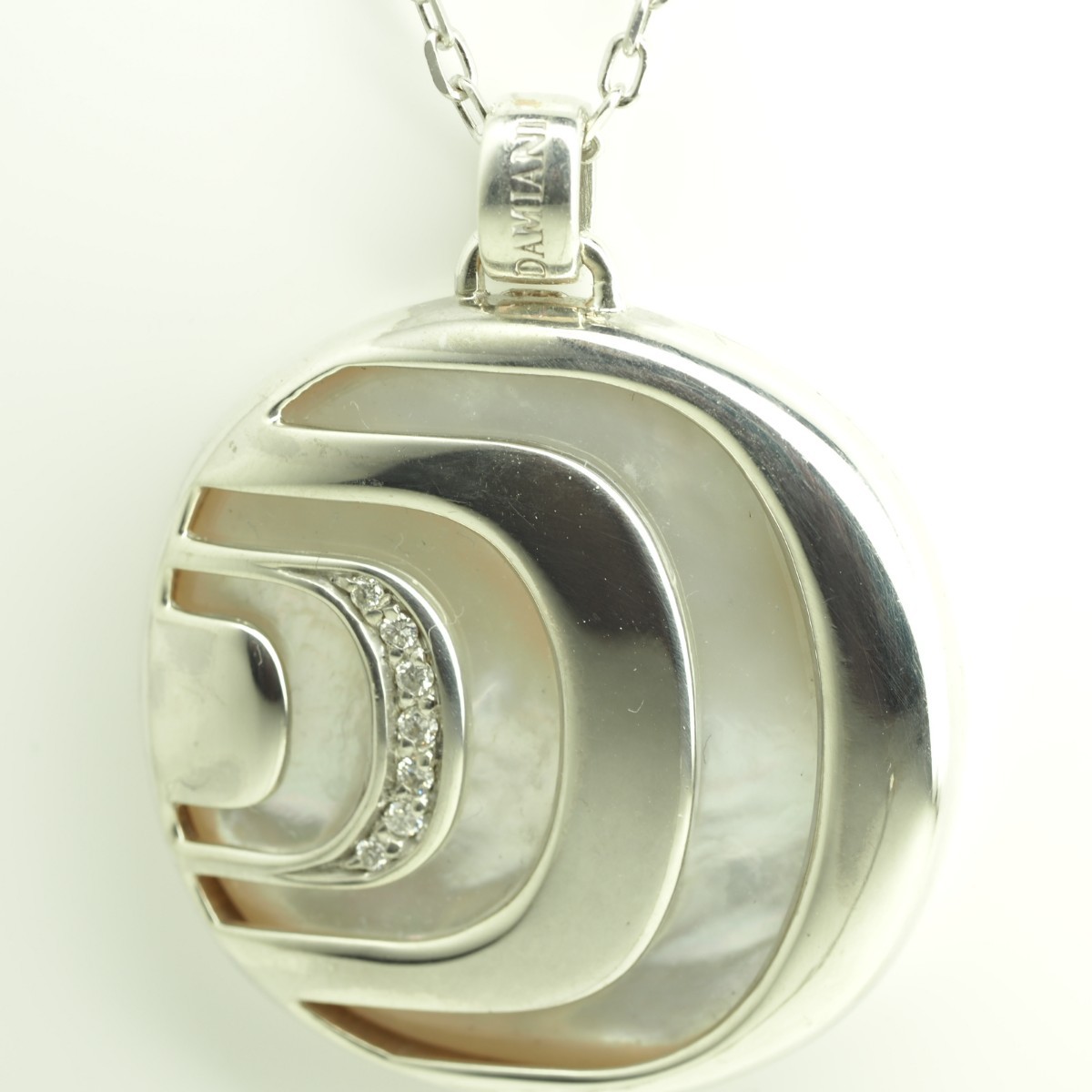 アガベ 白毫刺 子株① 龍球荟 白毫刺 子株OC (発根済) 龍