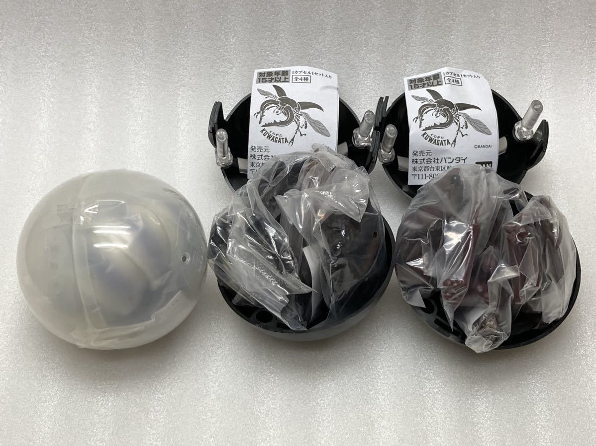 驚きの破格値，新品 バンダイ いきもの大図鑑 くわがた01 02 ノコギリクワガタ 茶 黒 幼虫 3種セット 品 カプセルトイ ガチャ フィギュア 絶版(生き物)｜売買されたオークション情報、yahooの商品情報をアーカイブ 生き物