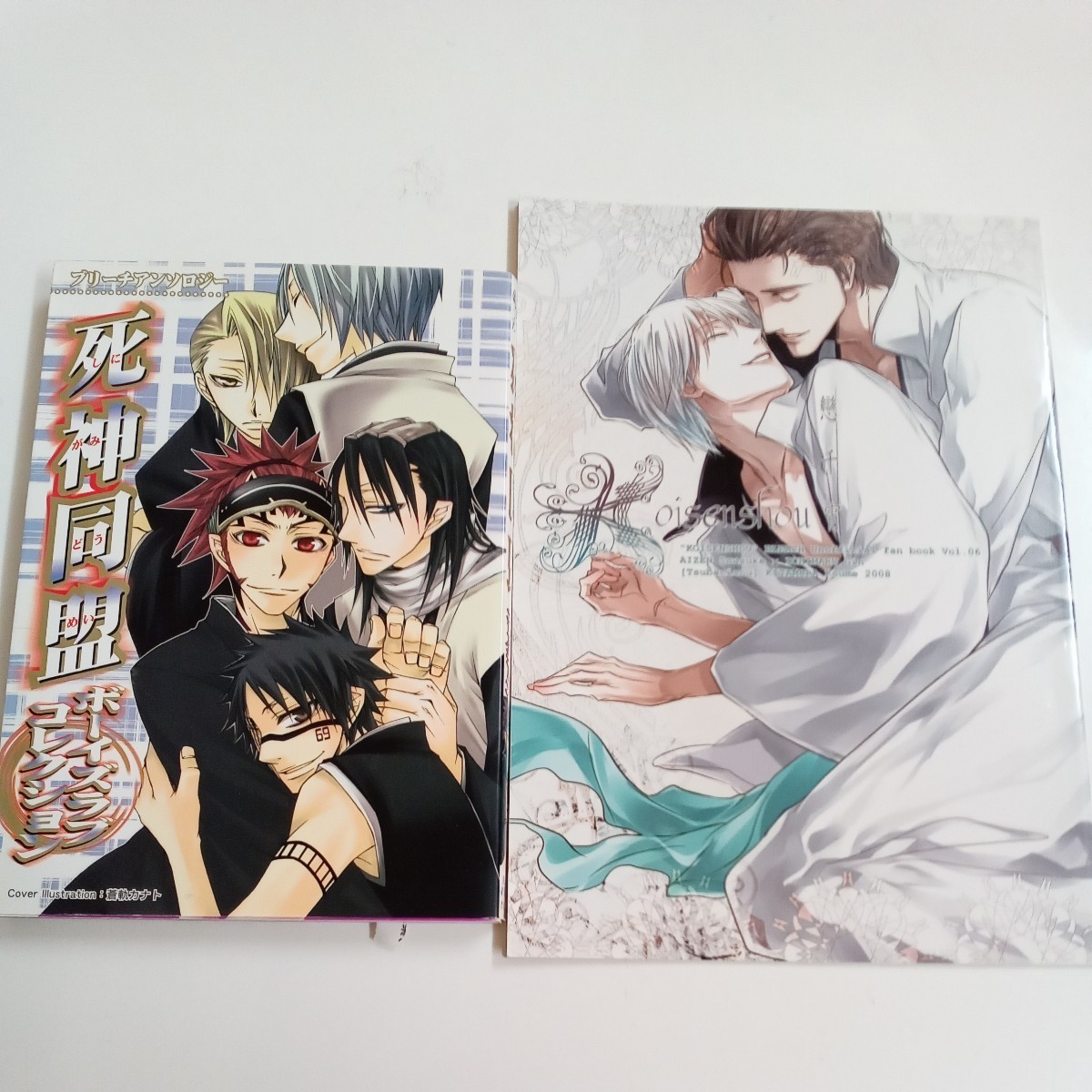 BLEACH ブリーチ 藍ギン （藍染×ギン） （藍染惣右介×市丸ギン）同人誌