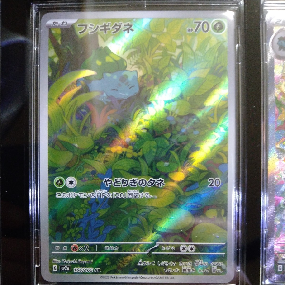 ポケモンカード 151 フシギバナex SAR フシギダネ、フシギソウ SA 