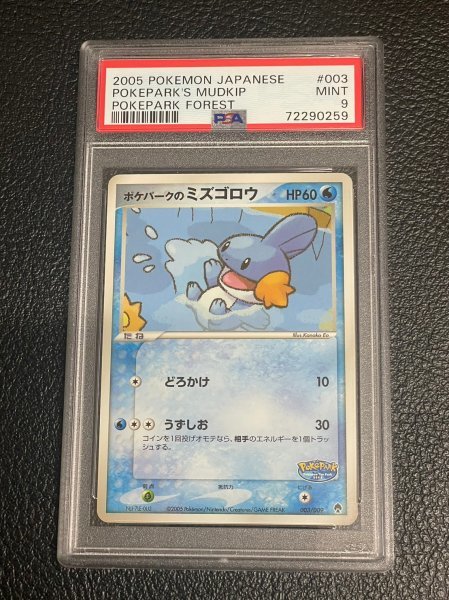 ポケパークのミズゴロウ ポケモンカード ゲーム ポケカ Yahoo