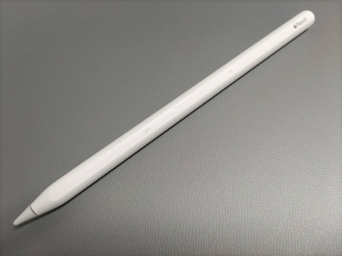 ジャンク品 Apple Pencil 第二世代 Apple 【公式通販】