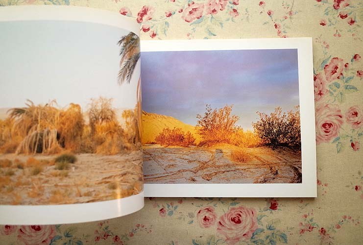 リチャード・ミズラック写真集 Richard Misrach: Cantos del desierto