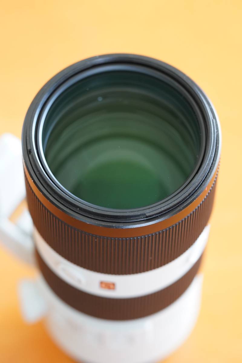 ジャンクSony FE 70-200mm F2.8 GM OSS レンズ ソニー SONY FE 70-200mm F2.8 GM OSS SEL70200GM ジャンク品 一眼