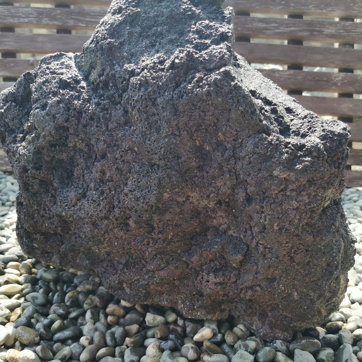 富士 溶岩石 24.2キロ 庭石 鑑賞石 石 石材 庭 坪庭 ガーデニング