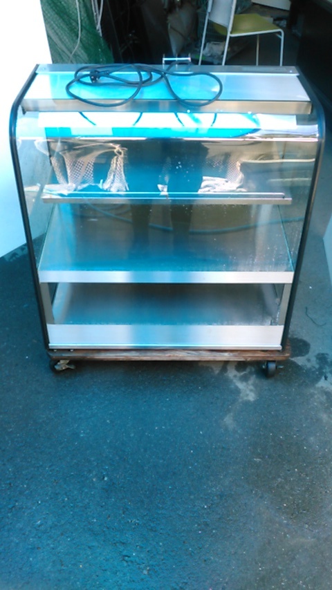 ホットショーケース 発送不可