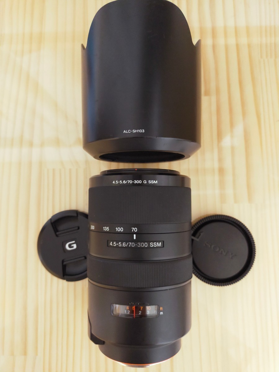 ★美品レベル★ SONY ソニー 70-300mm F4.5-5.6 G SAL70300G