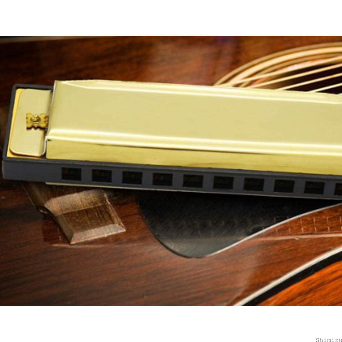 10ホール20キー★ ハーモニカ☆ 輝く ライブ ロック ジャズ アコースティック 生音 おしゃれ かっこいい 楽器 音楽 ミュージシャン