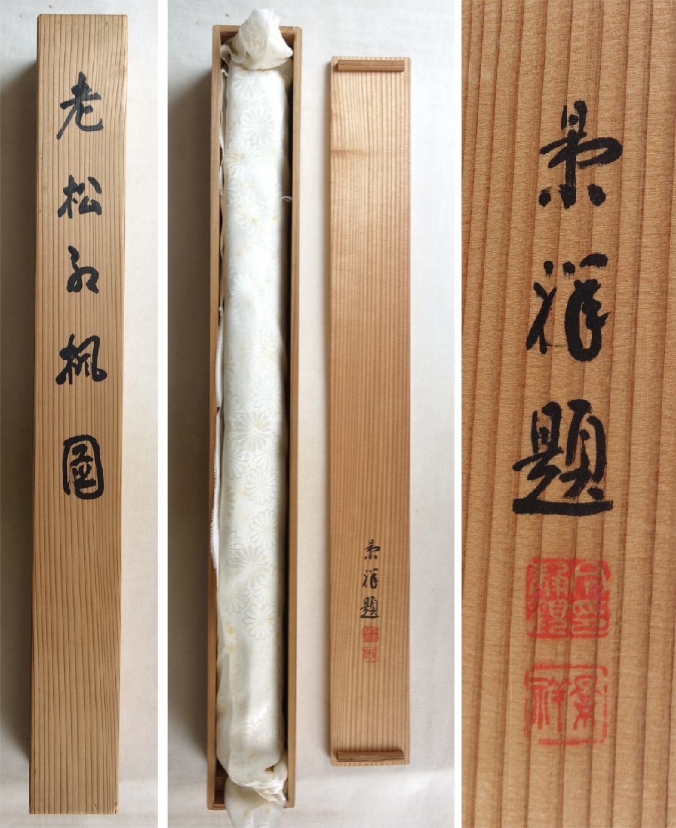 真作】 蔵壷◇『今尾景祥 老松紅葉図』 1幅 共箱 古筆 古文書 古書