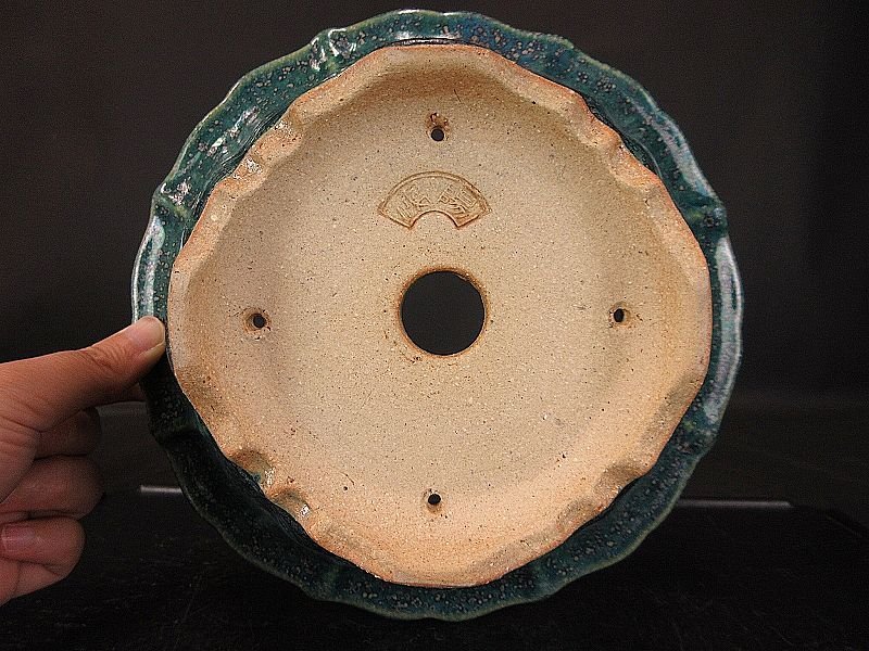 盆栽 樂屋】◇相羽鴻陽 織部結晶釉外縁輪花式丸鉢 B63 (人気釉薬作家