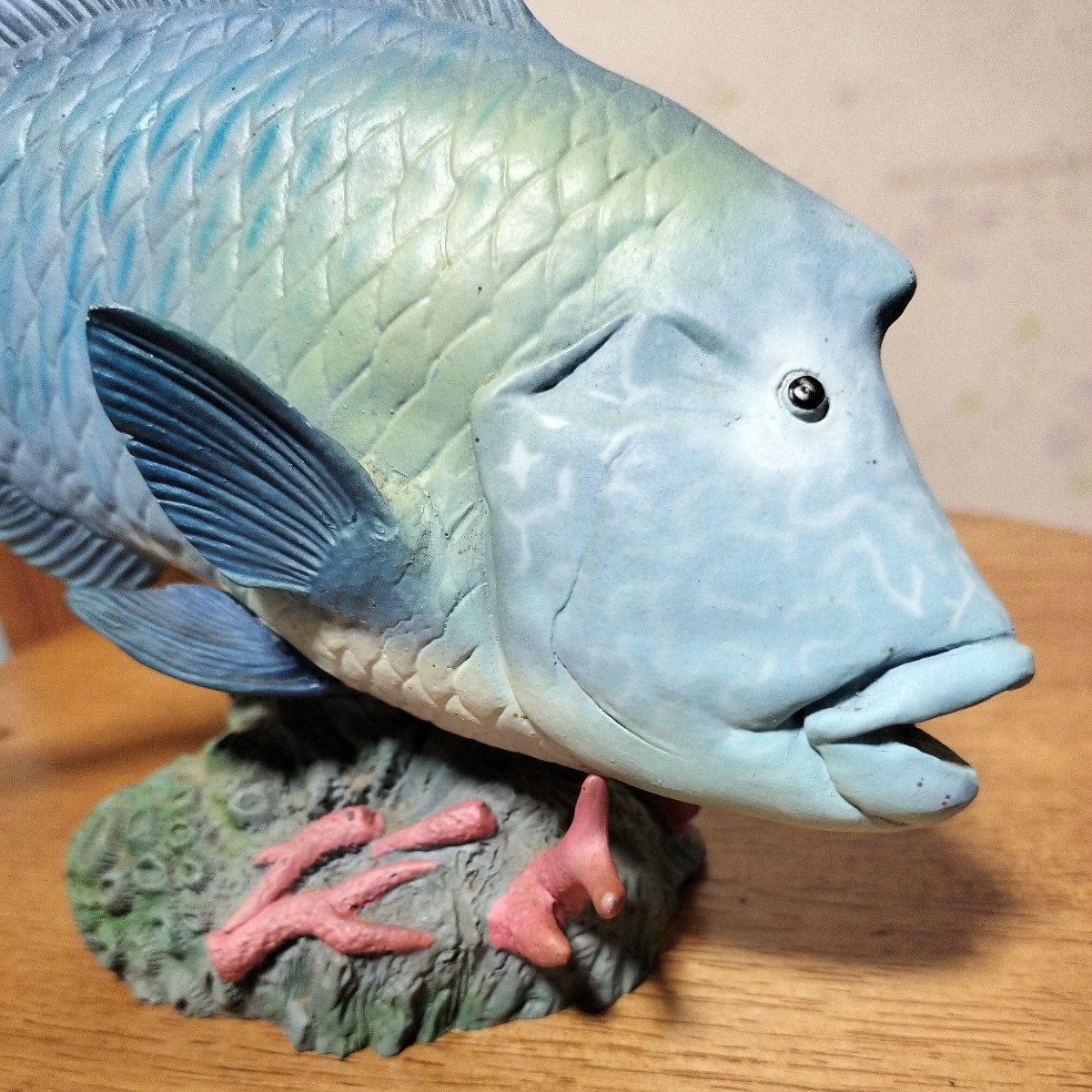 海洋堂aqua 海洋堂 アクアランド AQUALAND □メガネモチノウオ