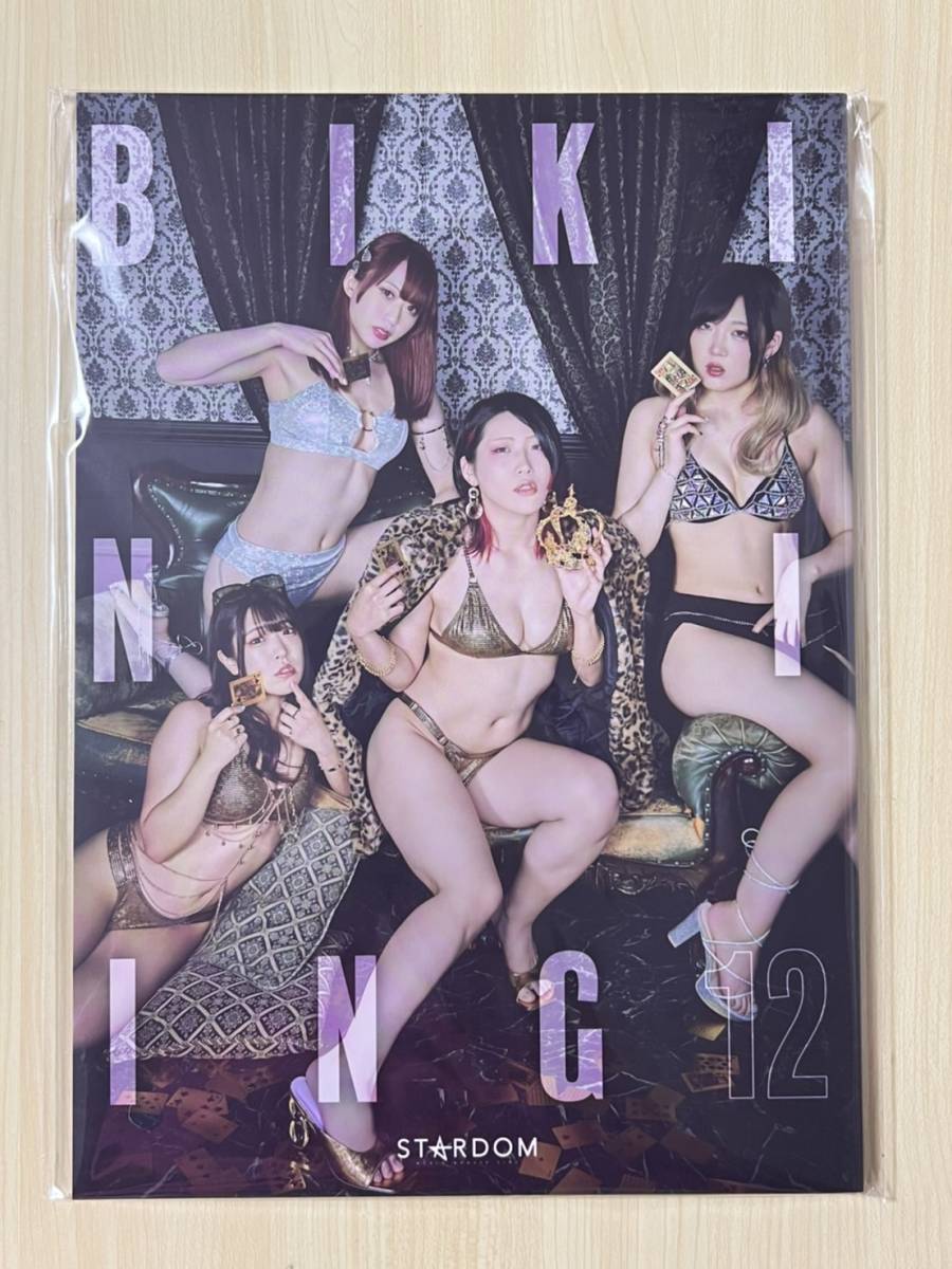 スターダム プロレス 水着 ビキニ Bikiniing12 STARDOM VISUAL BOOK