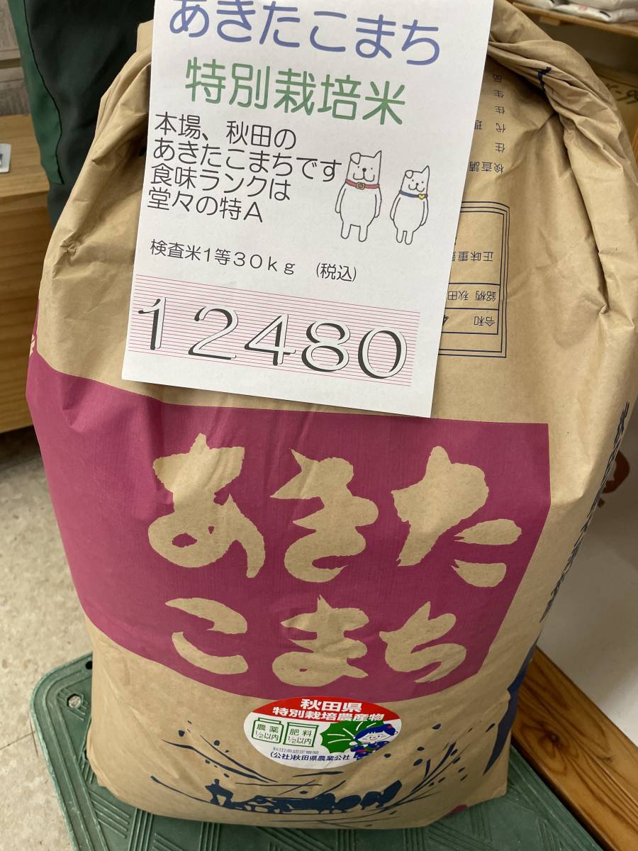 専用です。購入しないでください。 25kg令和4年秋田県大潟村産あきたこまち 検査米1等 精米（白米）25